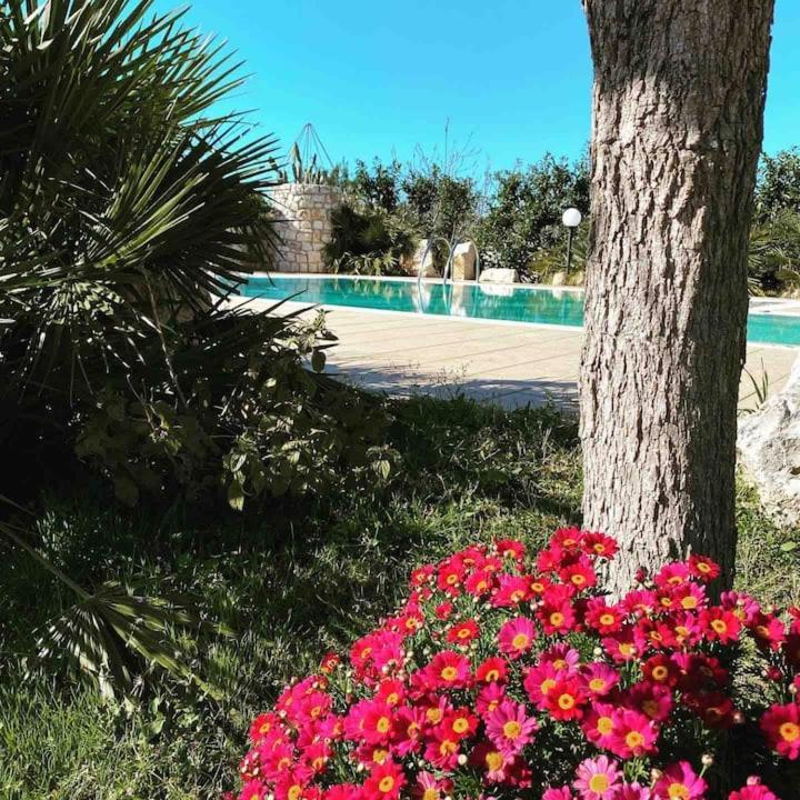 Pugliaholidayplus - Villa Cassano Polignano a Mare Exteriör bild